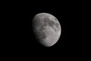 moonshot
