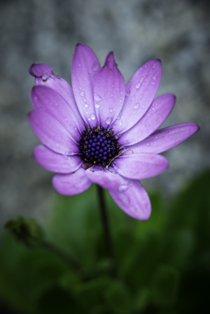 ADS_0487