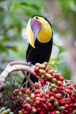 wildlifeADS_8402